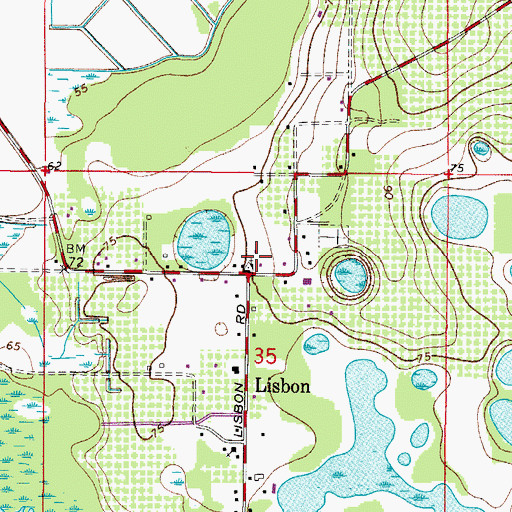 Topographic Map of Lisbon Church of God, FL