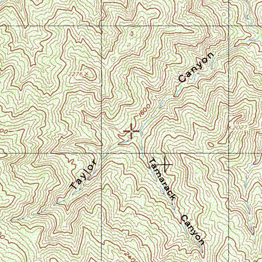 Topographic Map of Tamarack Canyon, CA
