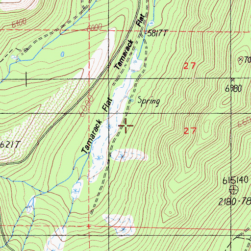 Topographic Map of Tamarack Flat, CA