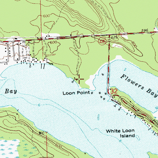 Topographic Map of Loons Point Campground, MI