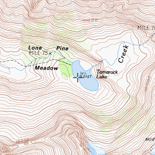 Topographic Map of Tamarack Lake, CA