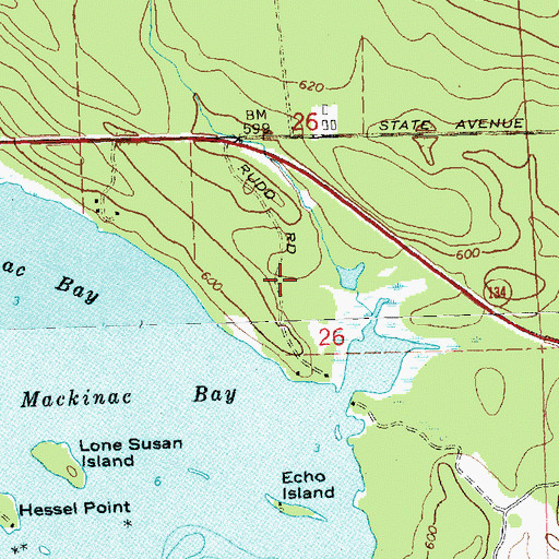Topographic Map of Les Cheneaux Golf Course, MI