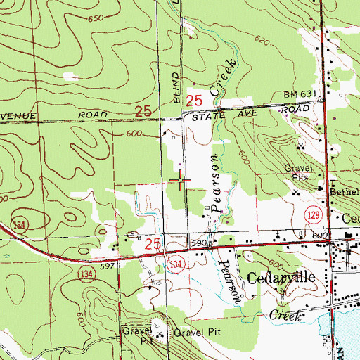 Topographic Map of Les Cheneaux Christian Fellowship, MI