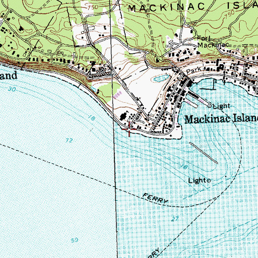 Topographic Map of Julia Point, MI