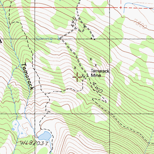 Topographic Map of Tamarack Mine, CA