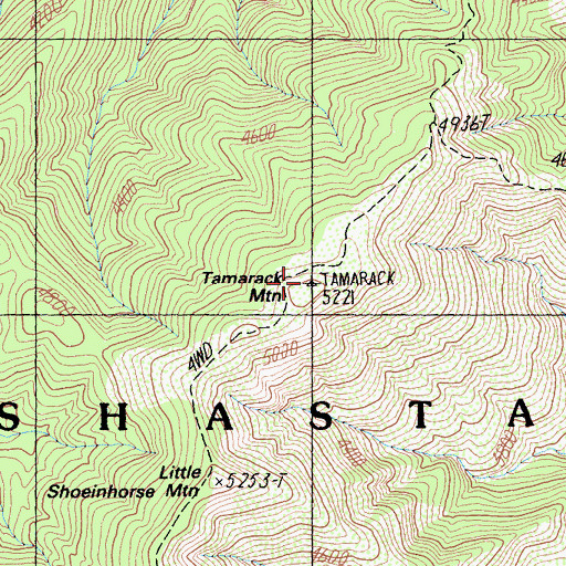 Topographic Map of Tamarack Mountain, CA
