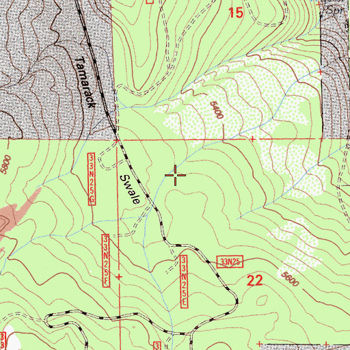 Topographic Map of Tamarack Swale, CA