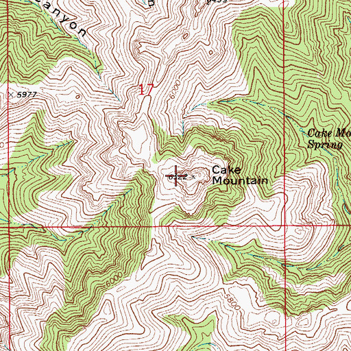 Topographic Map of Cake Mountain, AZ