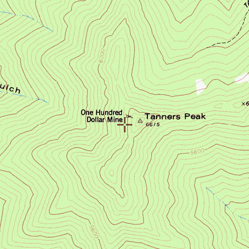 Topographic Map of Tanners Peak, CA