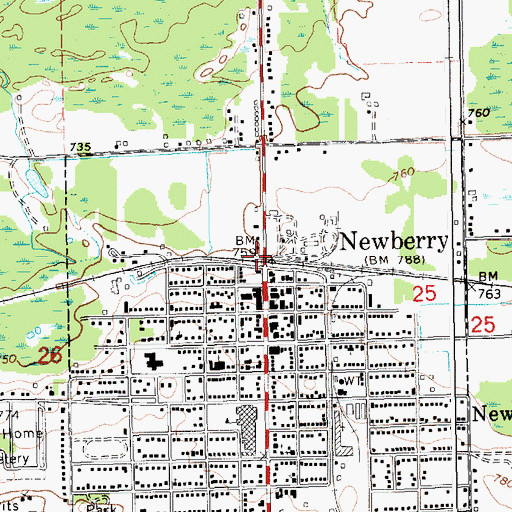 Topographic Map of Newberry Station, MI