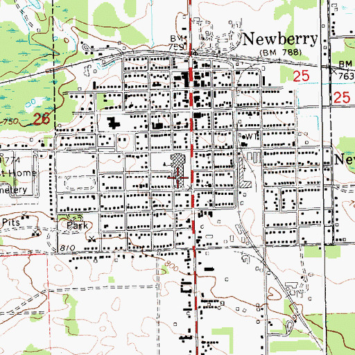 Topographic Map of Newberry High School, MI