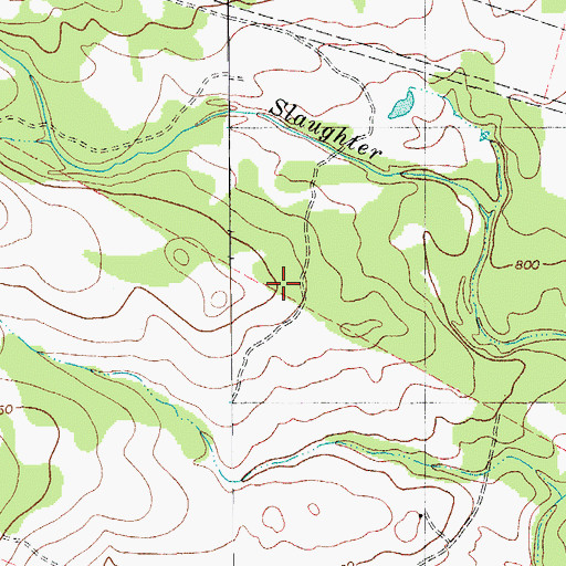 Topographic Map of Korean United Pentecostal Church, TX