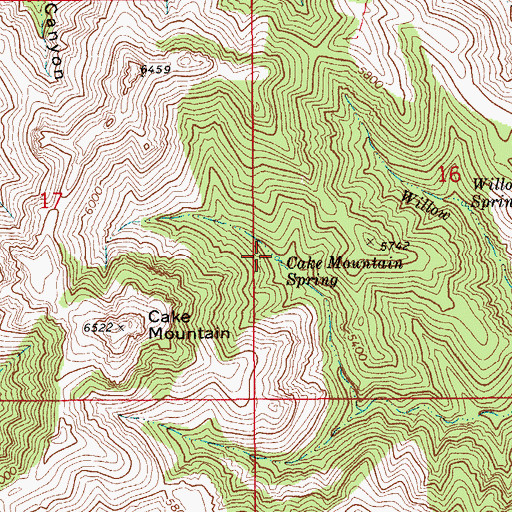 Topographic Map of Cake Mountain Spring, AZ