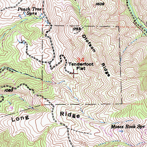 Topographic Map of Tenderfoot Flat, CA
