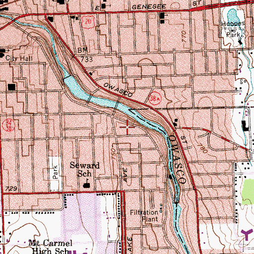 Topographic Map of Cayuga Home For Children, NY