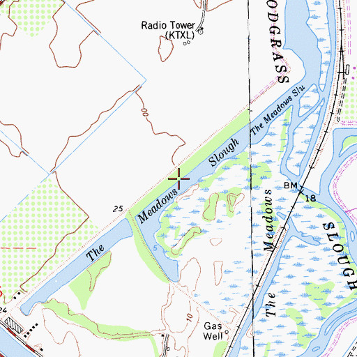 Topographic Map of The Meadows Slough, CA