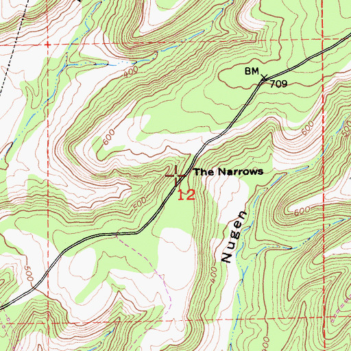 Topographic Map of The Narrows, CA