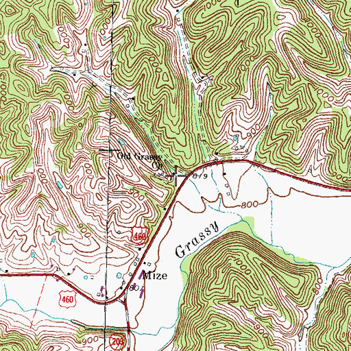 Topographic Map of Old Grassy Cemetery (historical), KY