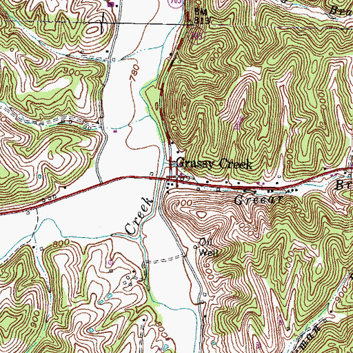 Topographic Map of Goodwins Chapel (historical), KY