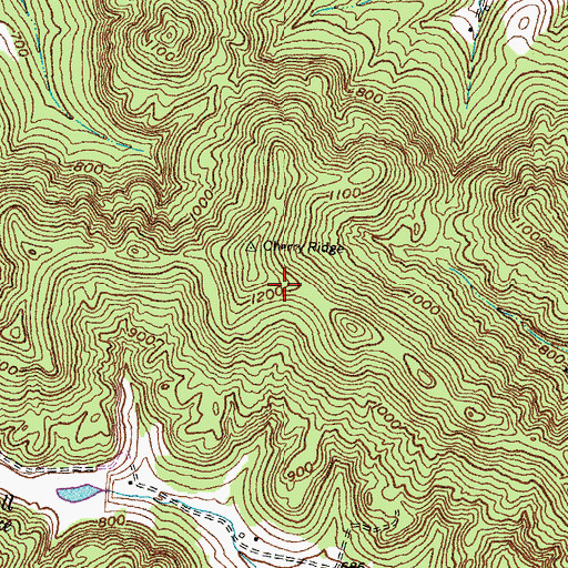 Topographic Map of Cherry Ridge, KY