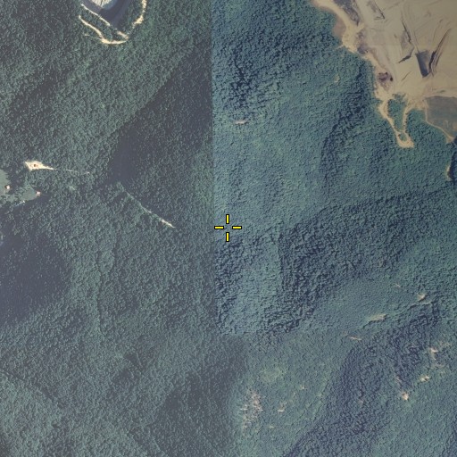 Aerial/Satellite Image of Hardys Bottom, KY