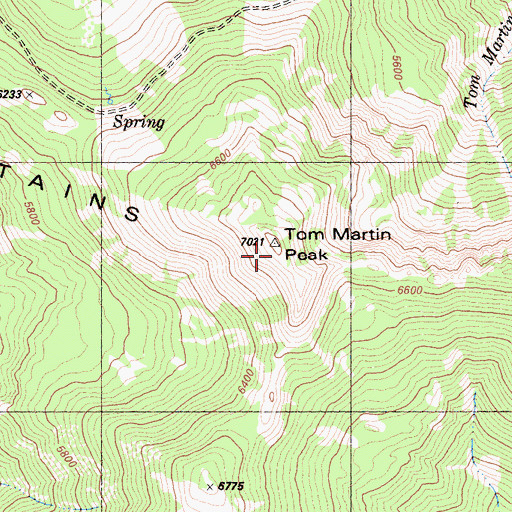Topographic Map of Tom Martin Peak, CA