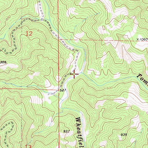 Topographic Map of Tombs Creek, CA