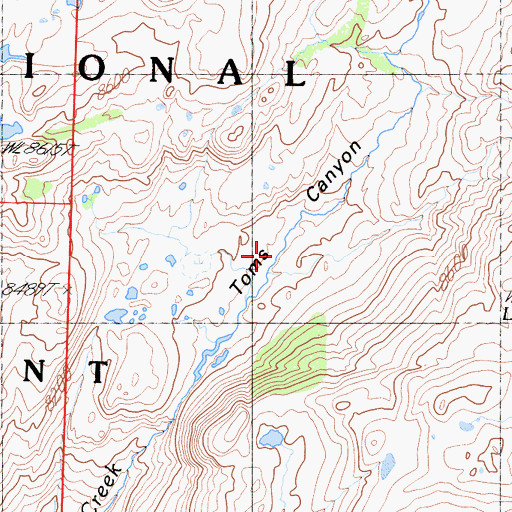 Topographic Map of Toms Canyon, CA
