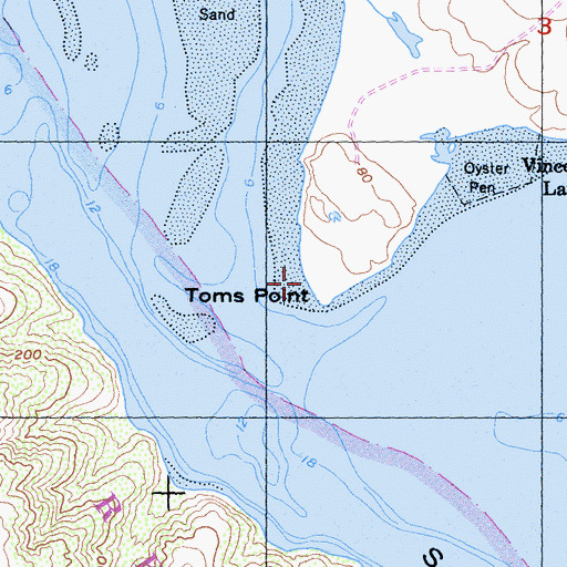 Topographic Map of Toms Point, CA