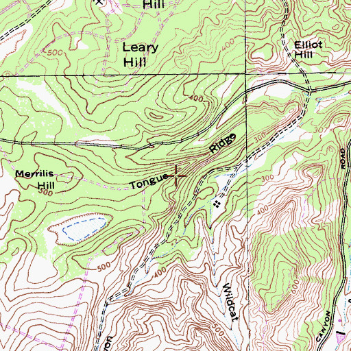 Topographic Map of Tongue Ridge, CA