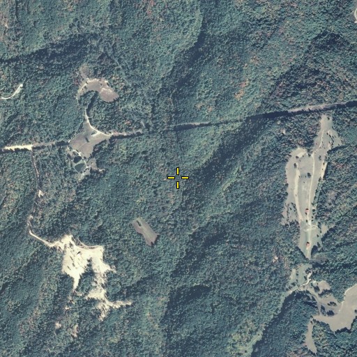 Aerial/Satellite Image of Meadows Branch, KY
