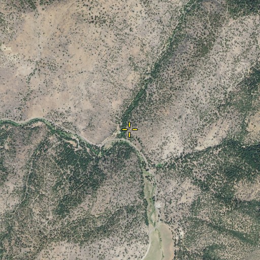 Aerial/Satellite Image of Trail Gulch, CA
