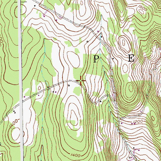 Topographic Map of School Number 8 (historical), NY