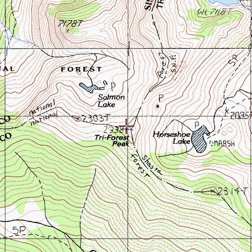 Topographic Map of Tri-Forest Peak, CA