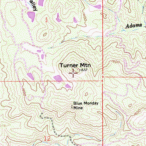 Topographic Map of Turner Mountain, CA