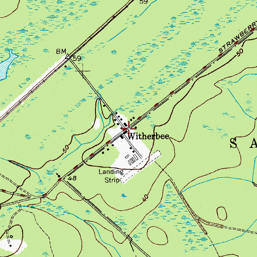 Topographic Map of United States Forest Service Witherbee, SC