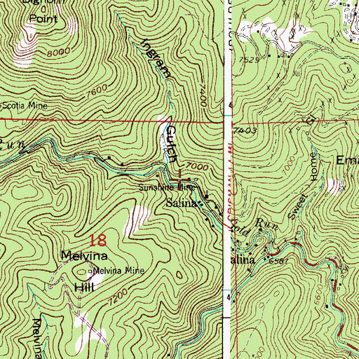 Topographic Map of Four Mile Fire Department Station 2, CO