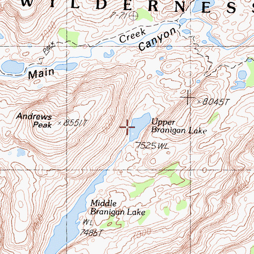Topographic Map of Upper Branigan Lake, CA