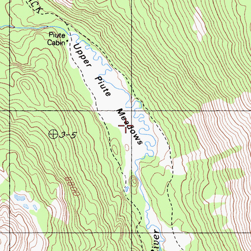 Topographic Map of Upper Piute Meadows, CA