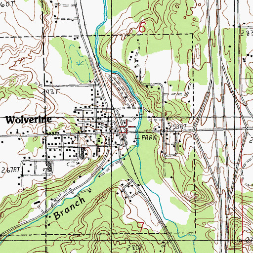 Topographic Map of Wolverine Station (historical), MI