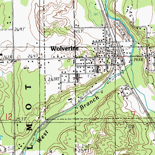 Topographic Map of Wolverine Elementary School, MI