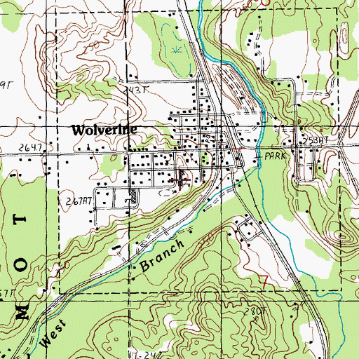 Topographic Map of Wolverine High School, MI