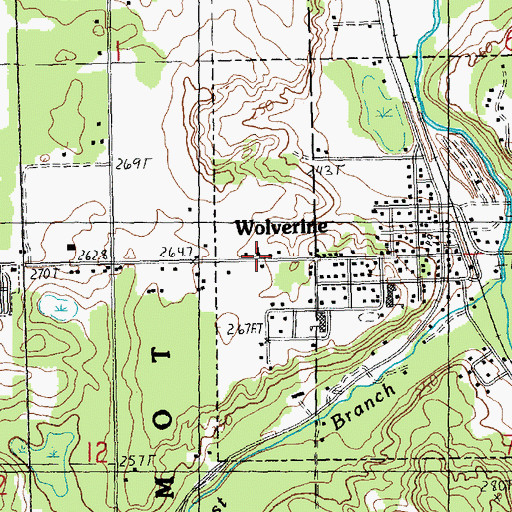 Topographic Map of Wolverine Baptist Church, MI