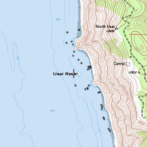 Topographic Map of Usal Rock, CA