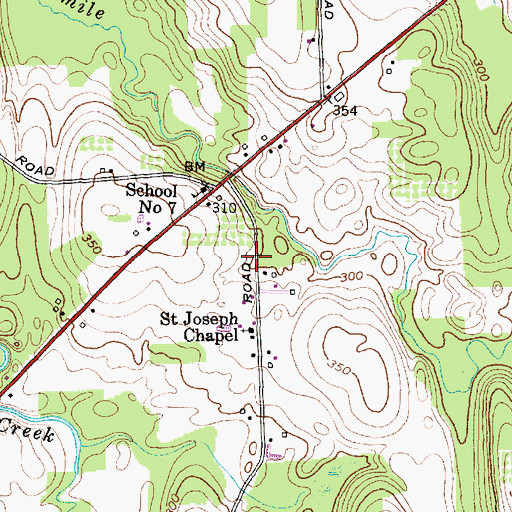 Topographic Map of Stevens Cemetery, NY