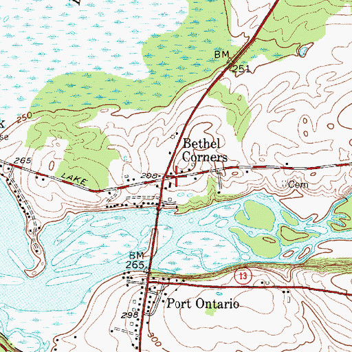 Topographic Map of Bethel Church (historical), NY