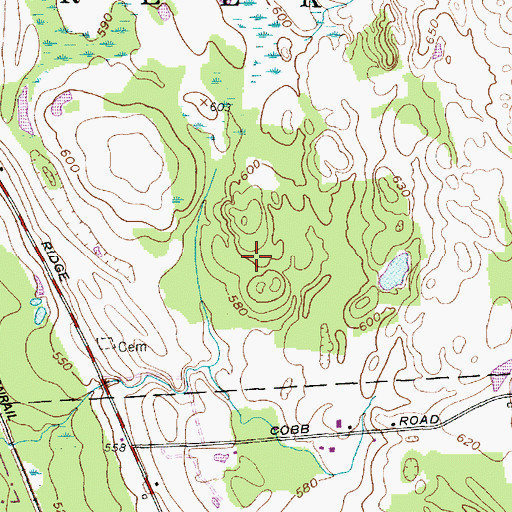 Topographic Map of Noyes Woods, NY