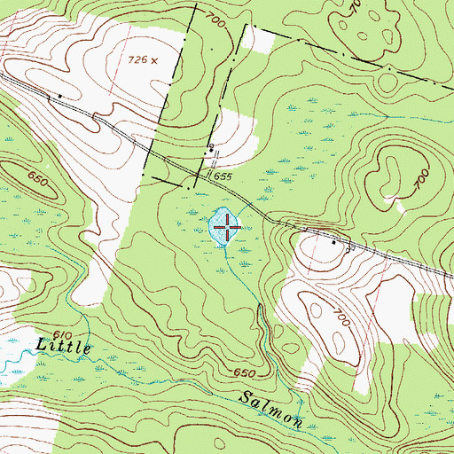 Topographic Map of Negro Pond, NY
