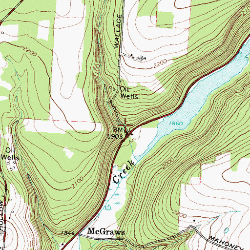 Topographic Map of McGraw School (historical), NY