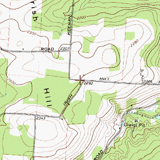 Topographic Map of Irish Hill School (historical), NY